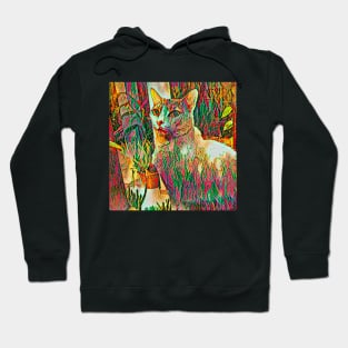 CAT GLASS COLORS Hoodie